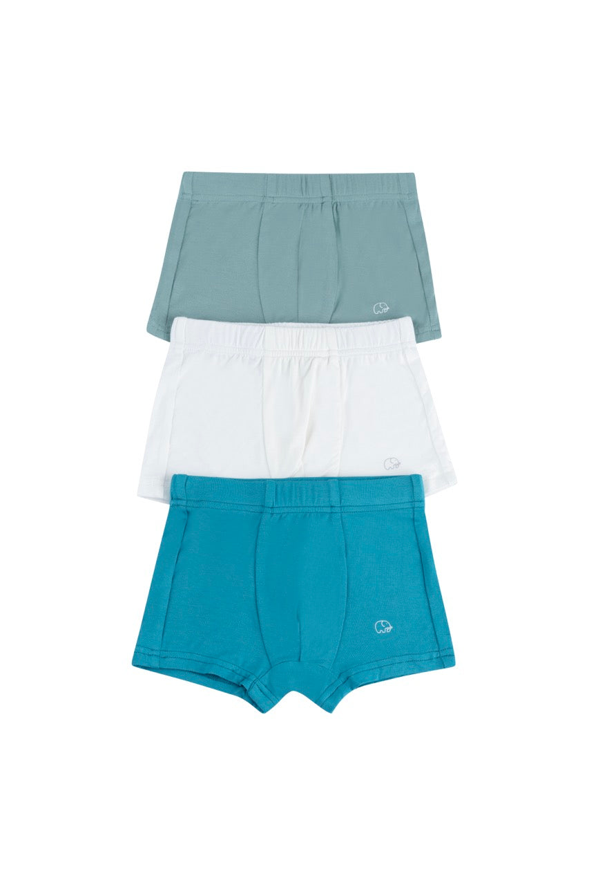 Organic Boys Bamboo Boxer Brief Underwear Set Of 3- Blue/White/Green Organic Boys Bamboo Boxer Brief Underwear Set Of 3- Blue/White/Green