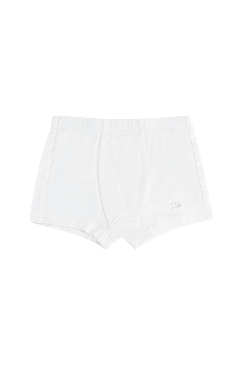 Organic Boys Bamboo Boxer Brief Underwear Set Of 3- Blue/White/Green