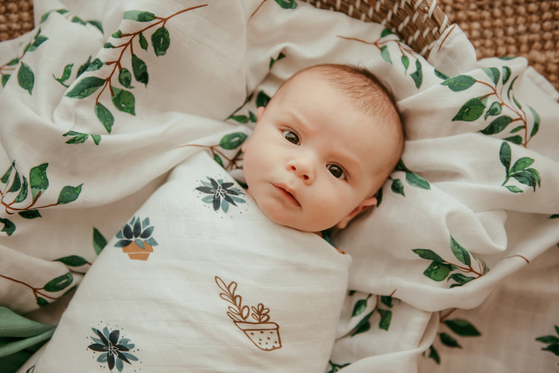 Muslin Swaddle | 100% Bamboo | Weeping Willow